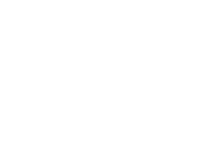 Mag. Manfred Schaffer Logo Weiss